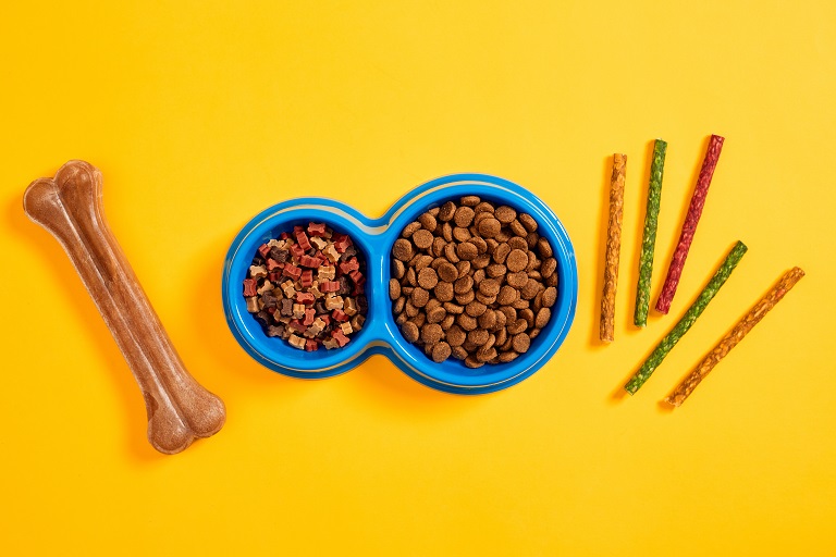 Where to Begin as a Pet Food Start-Up